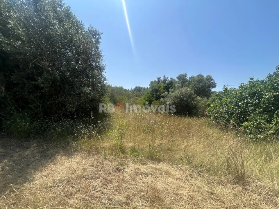 Terreno para Venda em Assentiz Foto 7