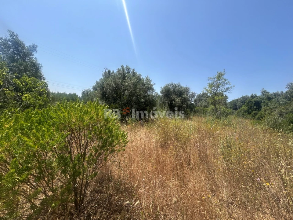 Terreno para Venda em Assentiz Foto 10