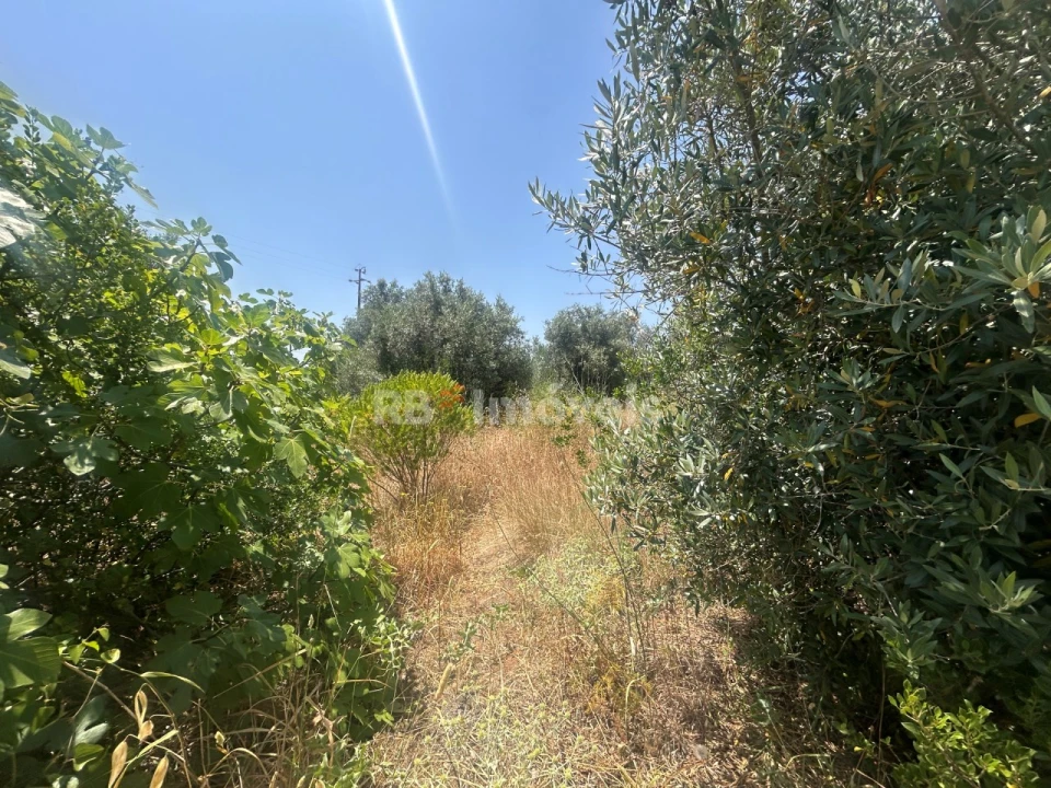 Terreno para Venda em Assentiz Foto 2