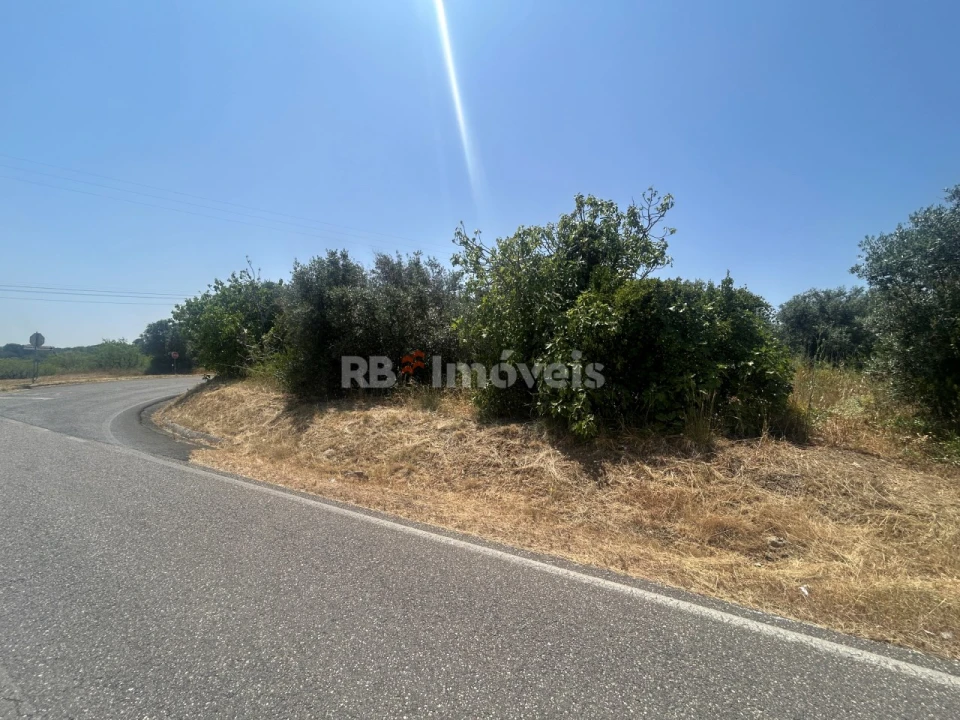 Terreno para Venda em Assentiz Foto 1