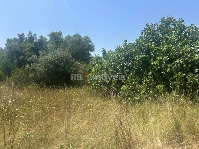 Terreno para Venda em Assentiz Foto 6