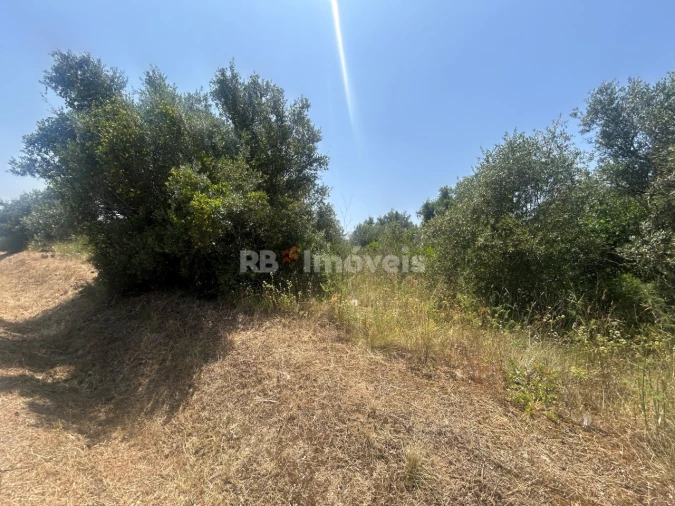 Terreno para Venda em Assentiz Foto 8