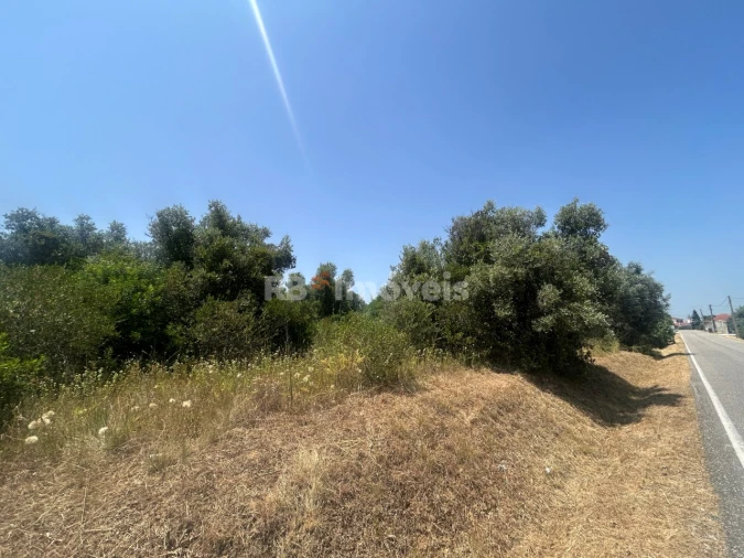 Terreno para Venda em Assentiz Foto 13