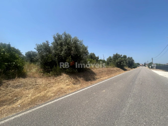 Terreno para Venda em Assentiz Foto 15