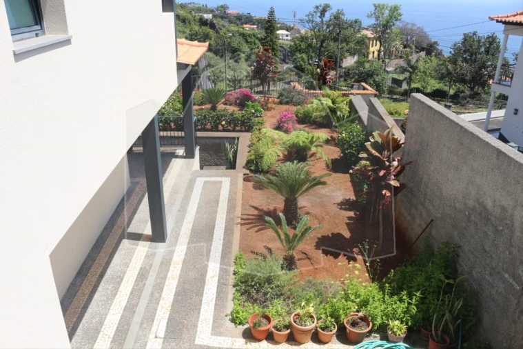 Moradia T3 para Venda em Monte Foto 4