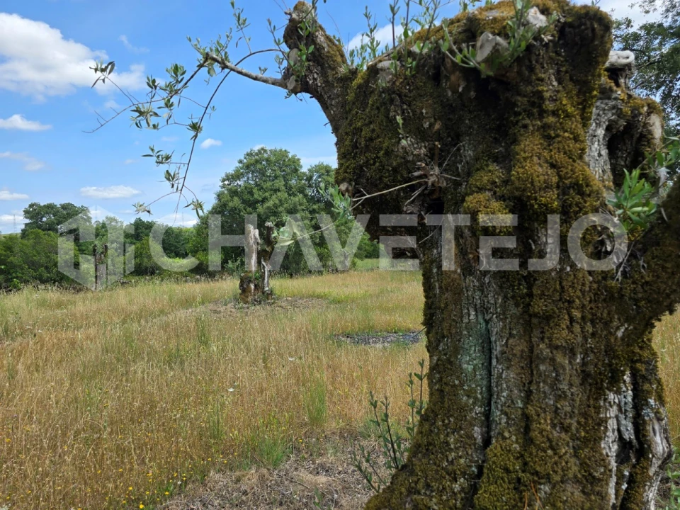 Moradia T2 para Venda em Areias e Pias Foto 18