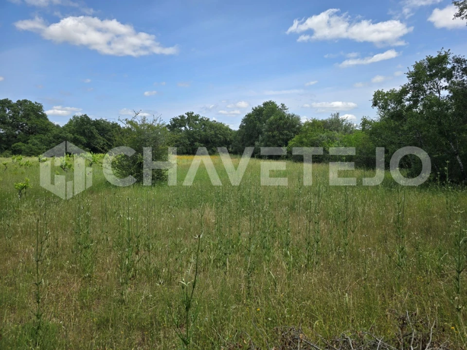 Moradia T2 para Venda em Areias e Pias Foto 24