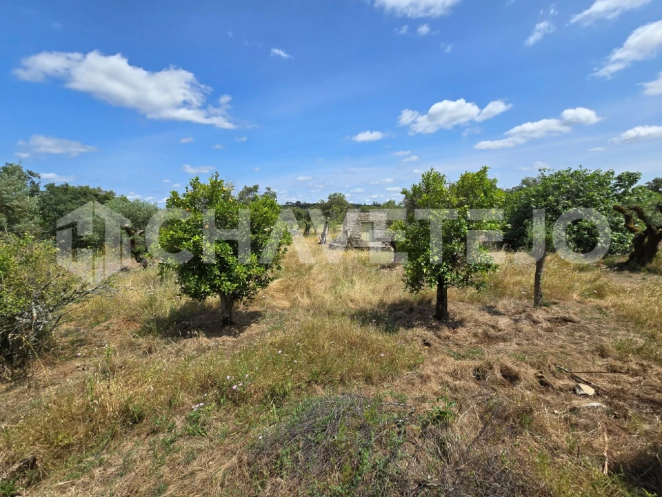 Moradia T2 para Venda em Areias e Pias Foto 33