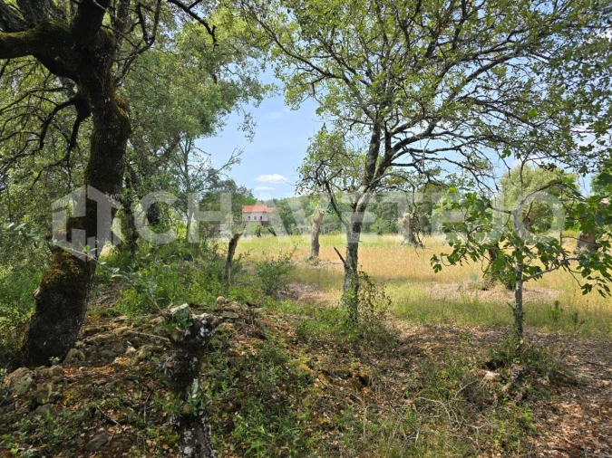 Moradia T2 para Venda em Areias e Pias Foto 20