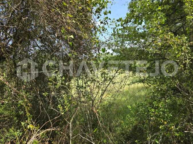 Moradia T2 para Venda em Areias e Pias Foto 21