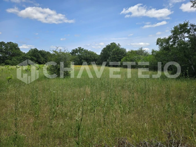 Moradia T2 para Venda em Areias e Pias Foto 24