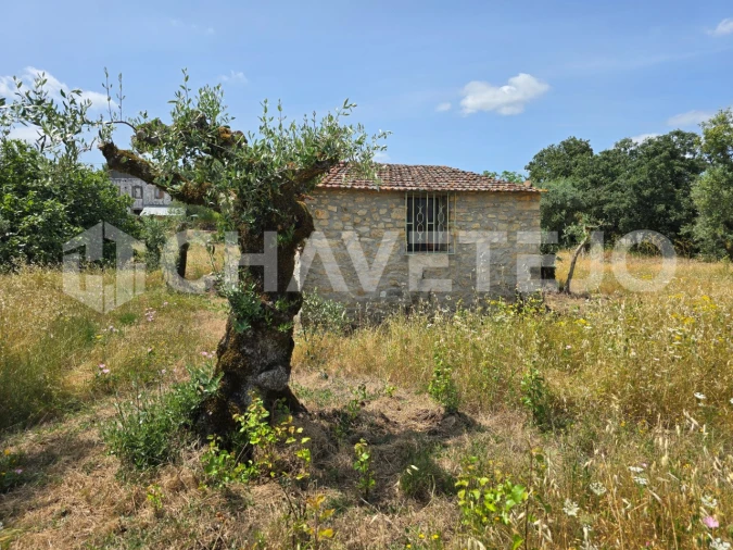 Moradia T2 para Venda em Areias e Pias Foto 25