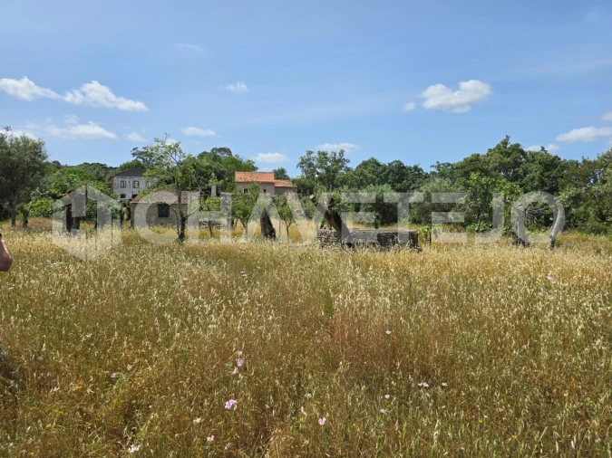 Moradia T2 para Venda em Areias e Pias Foto 26