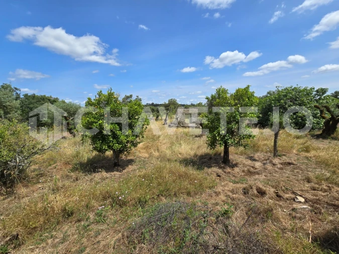 Moradia T2 para Venda em Areias e Pias Foto 33