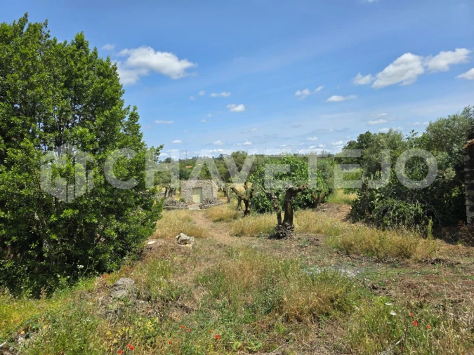 Moradia T2 para Venda em Areias e Pias Foto 34