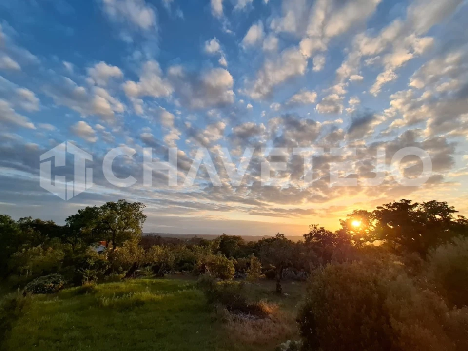 Quinta T4 para Venda em Pousaflores Foto 26