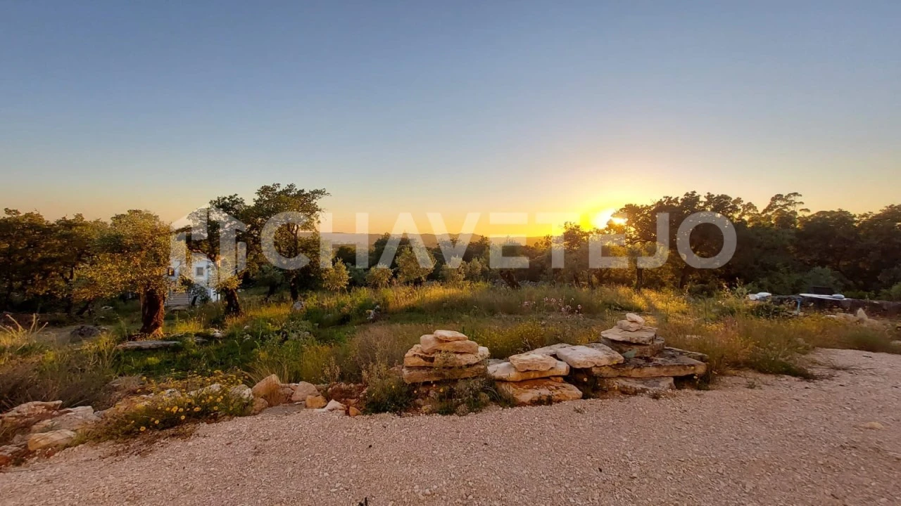 Quinta T4 para Venda em Pousaflores Foto 48