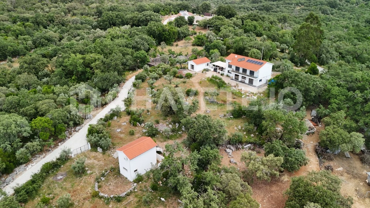 Quinta T4 para Venda em Pousaflores Foto 2