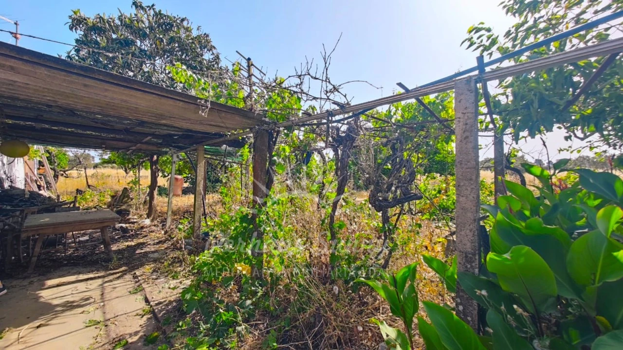 Quinta para Venda em Grândola e Santa Margarida da Serra Foto 5