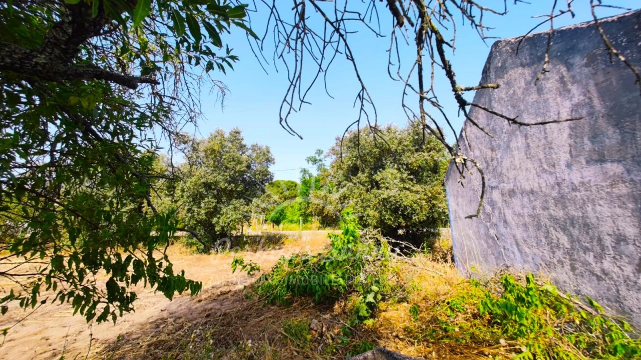 Quinta para Venda em Grândola e Santa Margarida da Serra Foto 4