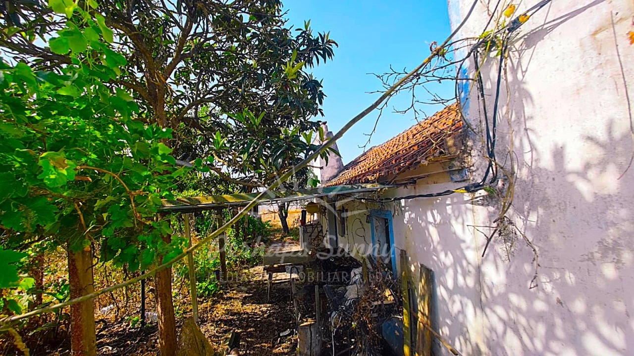 Quinta para Venda em Grândola e Santa Margarida da Serra Foto 9