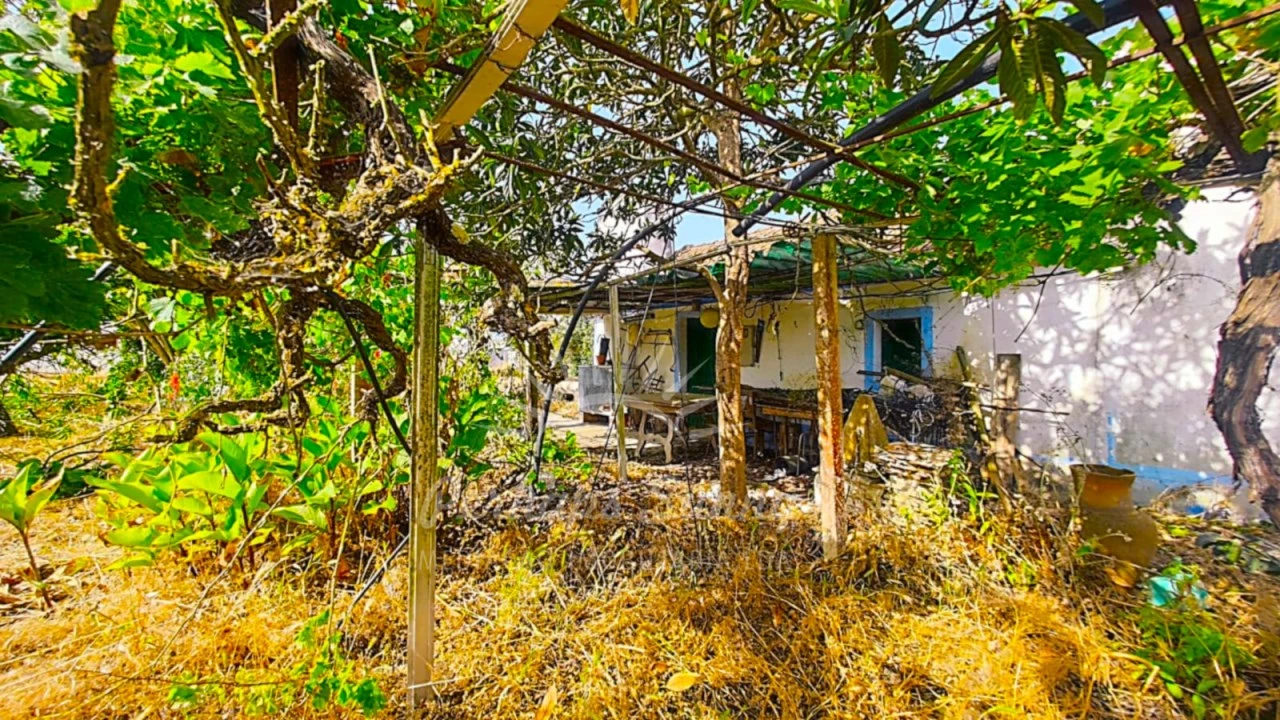 Quinta para Venda em Grândola e Santa Margarida da Serra Foto 10