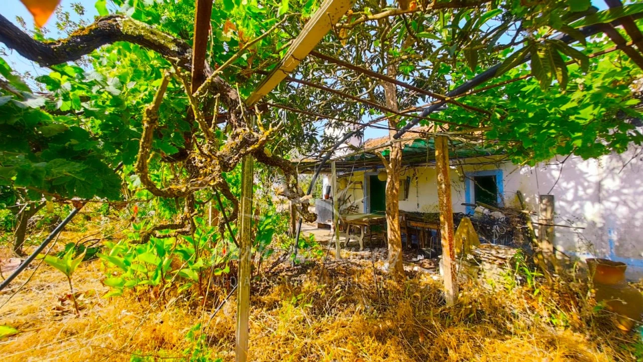 Quinta para Venda em Grândola e Santa Margarida da Serra Foto 12