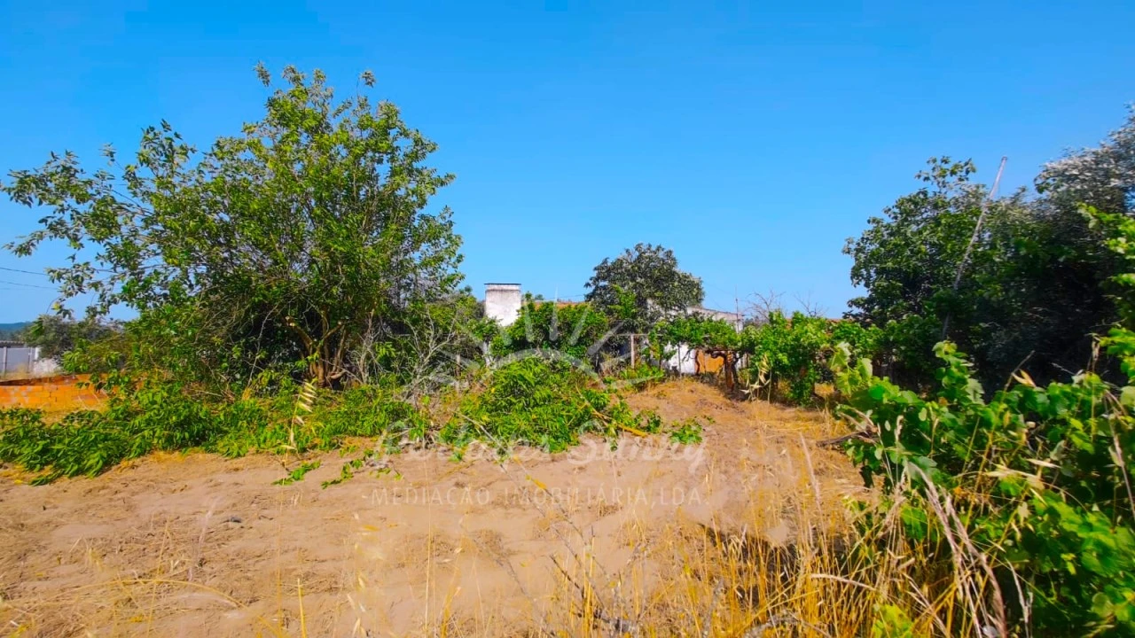 Quinta para Venda em Grândola e Santa Margarida da Serra Foto 16