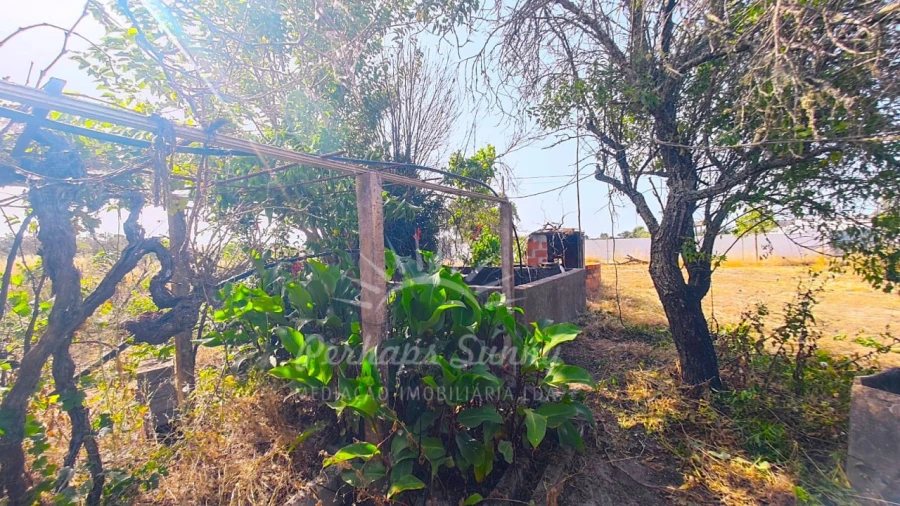 Quinta para Venda em Grândola e Santa Margarida da Serra Foto 7