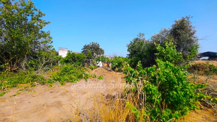 Quinta para Venda em Grândola e Santa Margarida da Serra Foto 13
