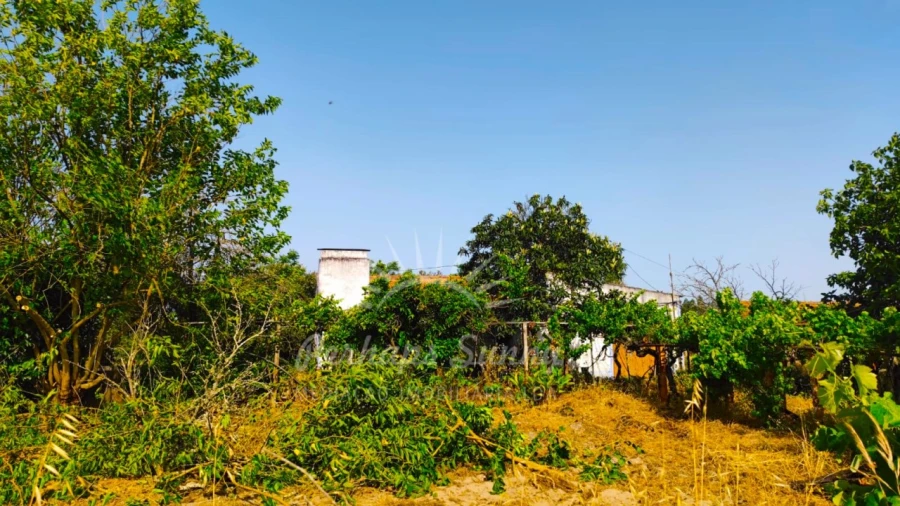Quinta para Venda em Grândola e Santa Margarida da Serra Foto 15