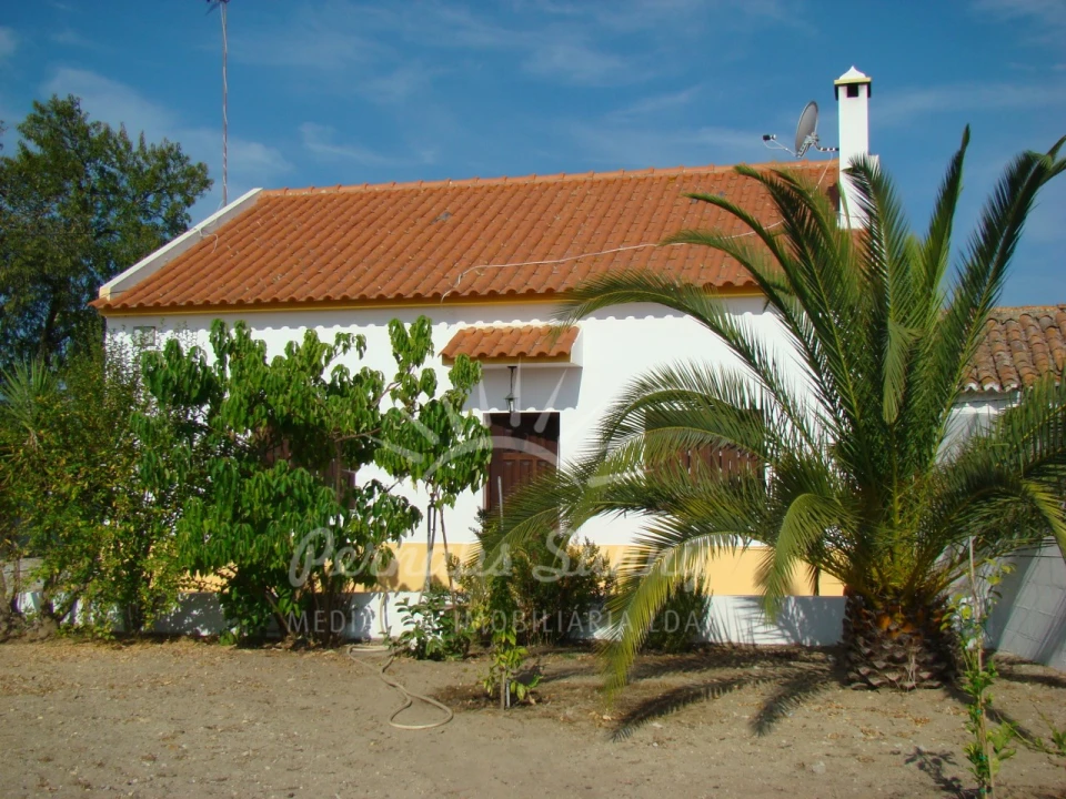 Terreno Misto para Venda em Melides Foto 32