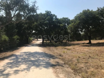 Terreno para Venda em Santo Estêvão