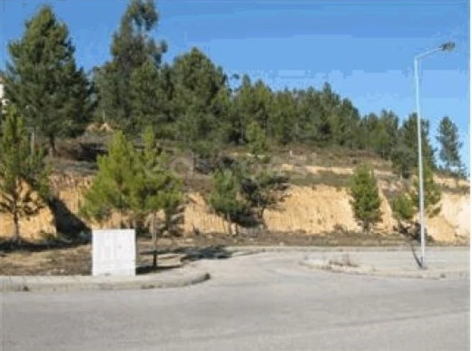 Terreno para Venda em Mação, Penhascoso e Aboboreira Foto 1