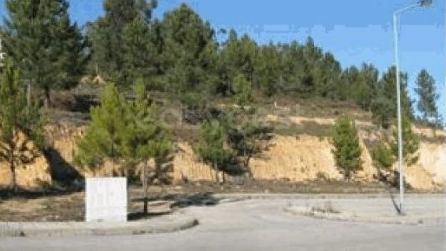 Terreno para Venda em Mação, Penhascoso e Aboboreira