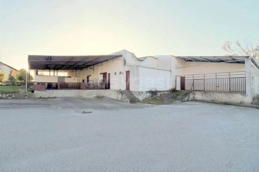 Negócio para Venda em Oliveira do Hospital e São Paio de Gramaços Foto 1