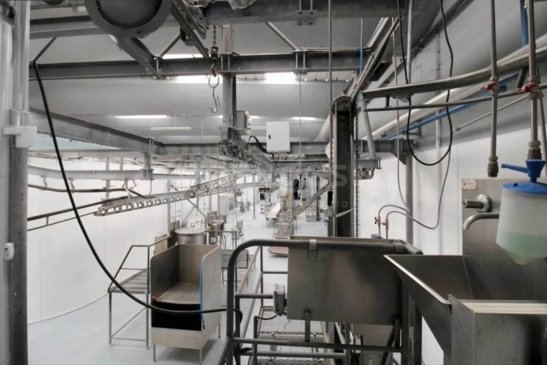 Negócio para Venda em Oliveira do Hospital e São Paio de Gramaços Foto 12