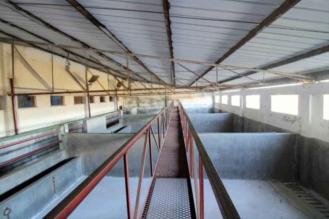 Negócio para Venda em Oliveira do Hospital e São Paio de Gramaços Foto 19