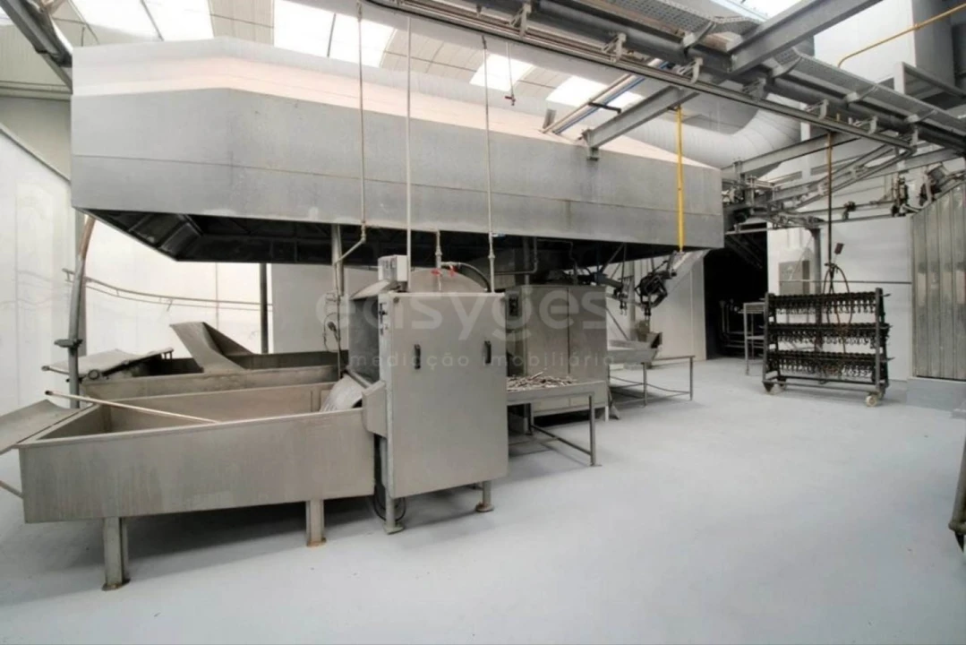 Negócio para Venda em Oliveira do Hospital e São Paio de Gramaços Foto 21