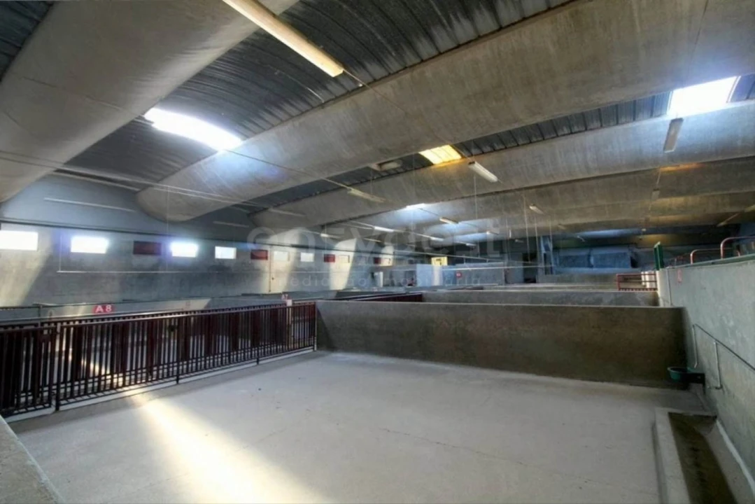 Negócio para Venda em Oliveira do Hospital e São Paio de Gramaços Foto 24