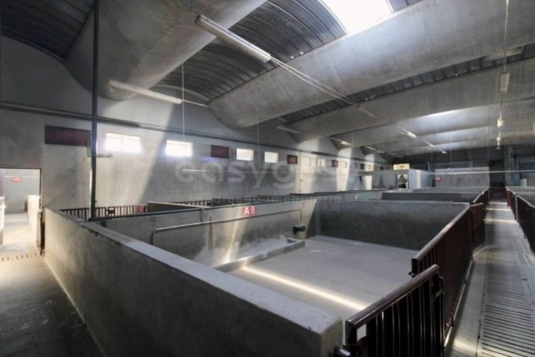 Negócio para Venda em Oliveira do Hospital e São Paio de Gramaços Foto 25