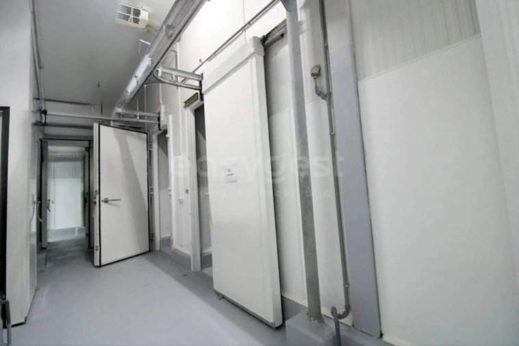 Negócio para Venda em Oliveira do Hospital e São Paio de Gramaços Foto 2