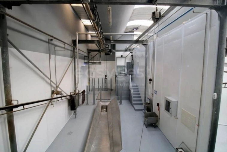 Negócio para Venda em Oliveira do Hospital e São Paio de Gramaços Foto 9