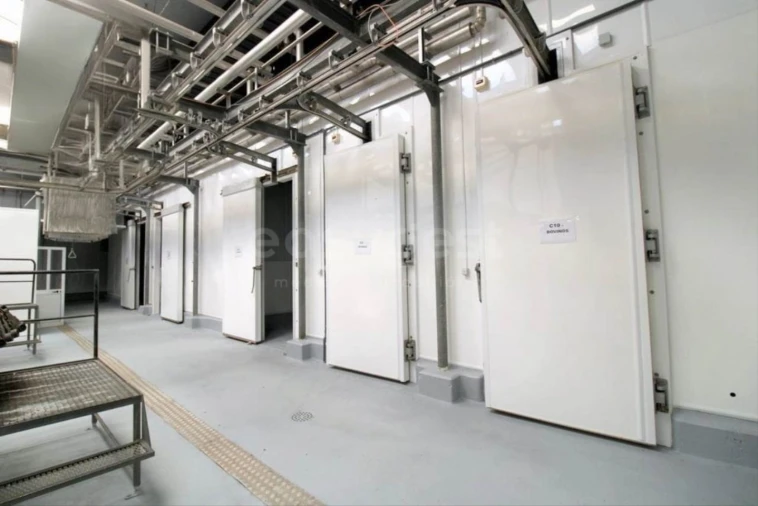 Negócio para Venda em Oliveira do Hospital e São Paio de Gramaços Foto 10