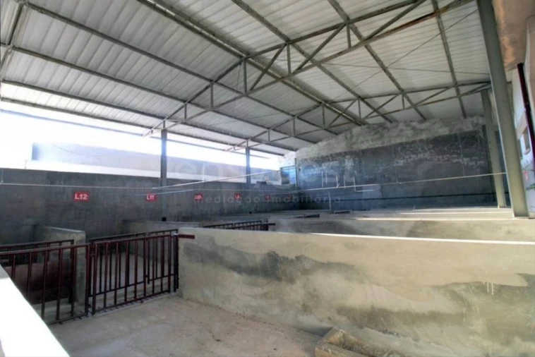 Negócio para Venda em Oliveira do Hospital e São Paio de Gramaços Foto 18