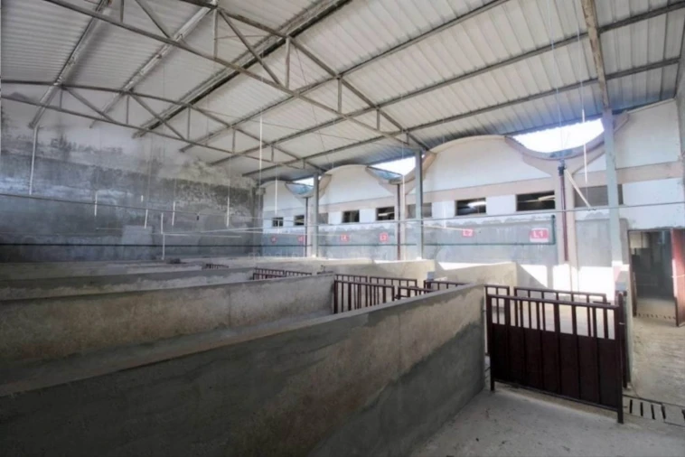 Negócio para Venda em Oliveira do Hospital e São Paio de Gramaços Foto 20