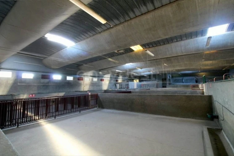 Negócio para Venda em Oliveira do Hospital e São Paio de Gramaços Foto 24