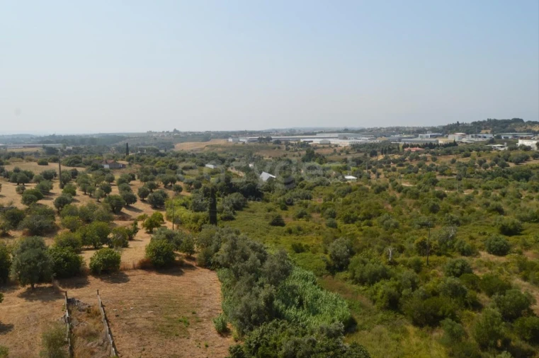 Apartamento T3 para Venda em Torres Novas (Santa Maria, Salvador e Santiago) Foto 14