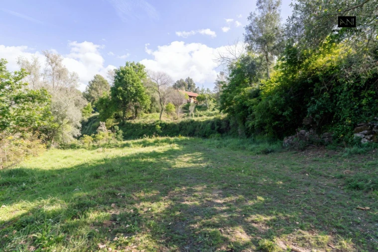 Terreno para Venda em Rio Caldo Foto 22