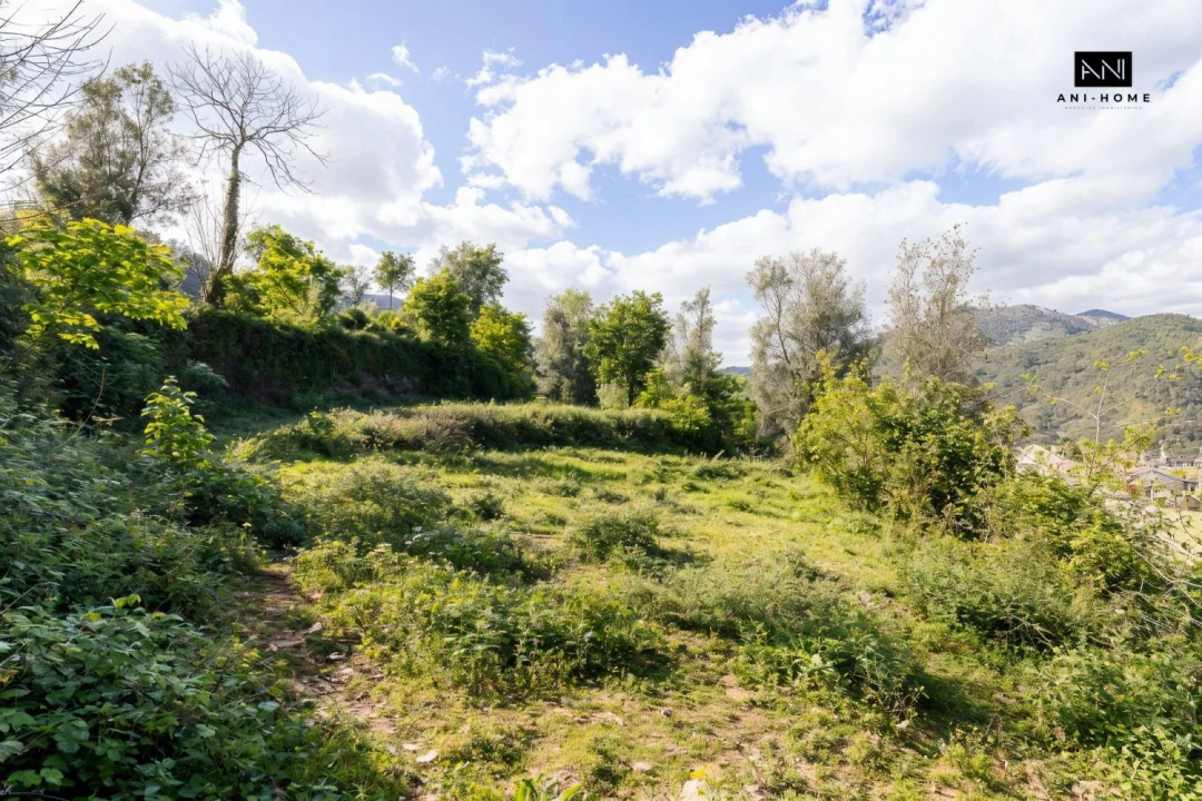 Terreno para Venda em Rio Caldo Foto 19